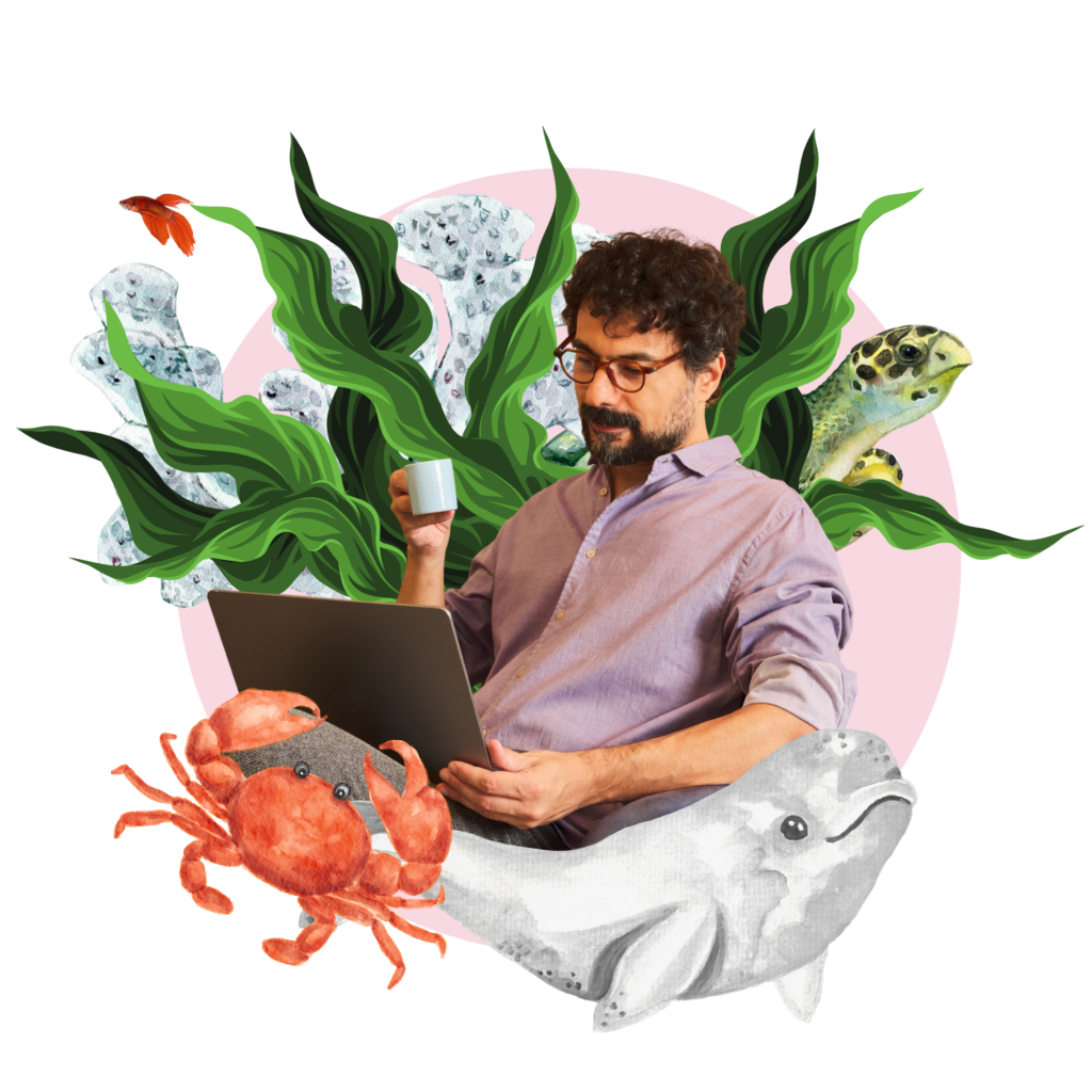 sirah website collage homepage regenerative and ethical systems